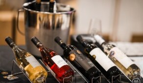 Tachovský festival vína 2025