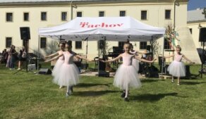 Pálení čarodějnic