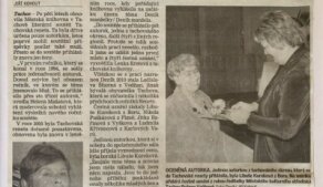 Článek v novinách